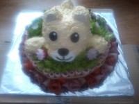 /album/fotogaleria-tematicke/a20141205-114644-jpg/